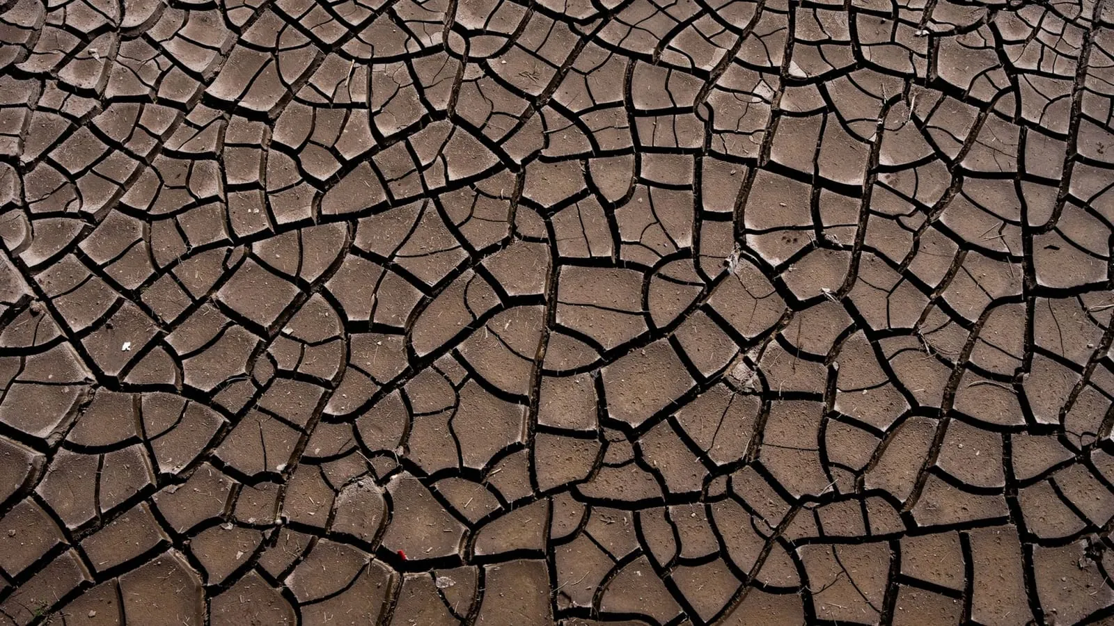 Close-up of cracked, parched earth symbolizing drought and climate change impact.