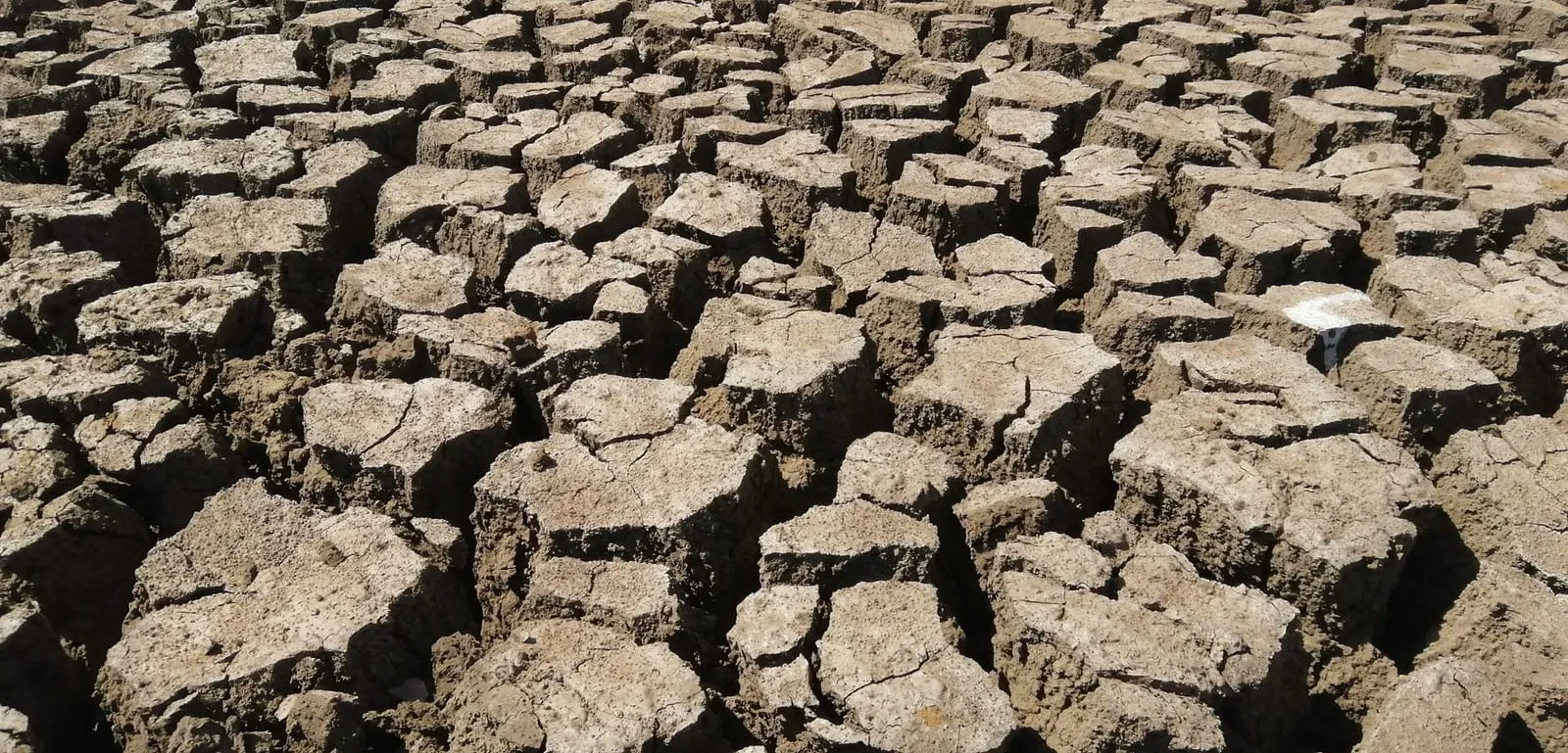 A stark image of cracked earth highlighting the impact of drought.