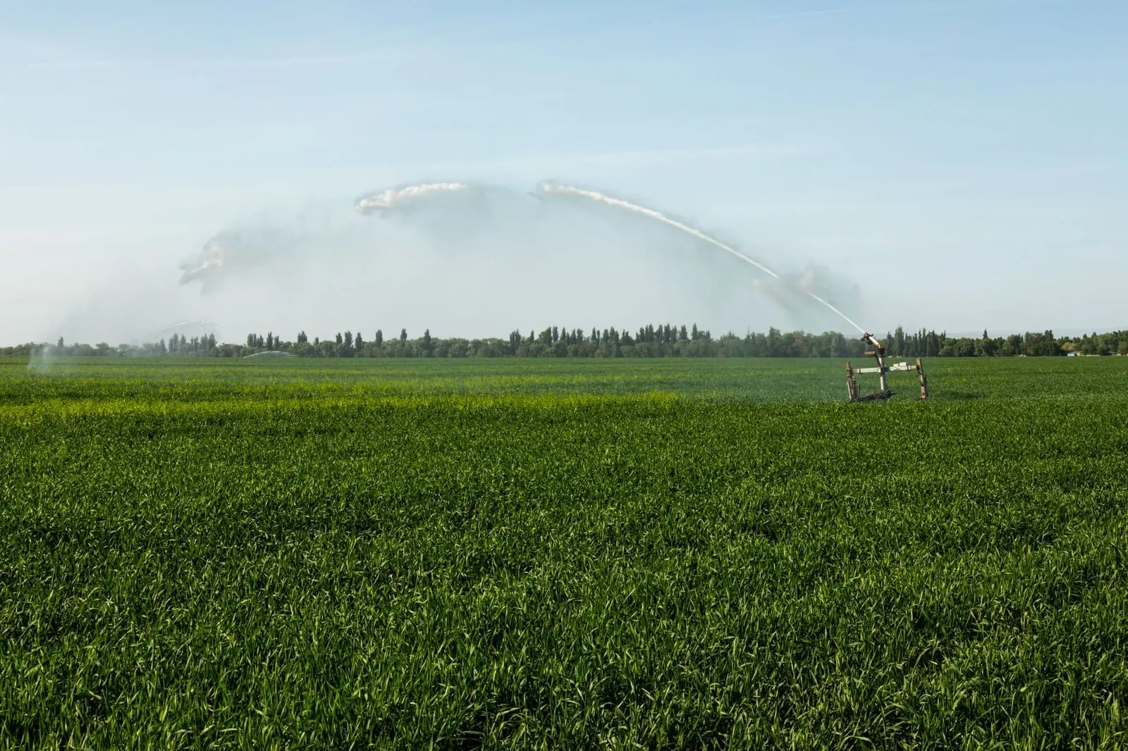 A lush green field being irrigated with a modern water sprinkler system under a clear sky.