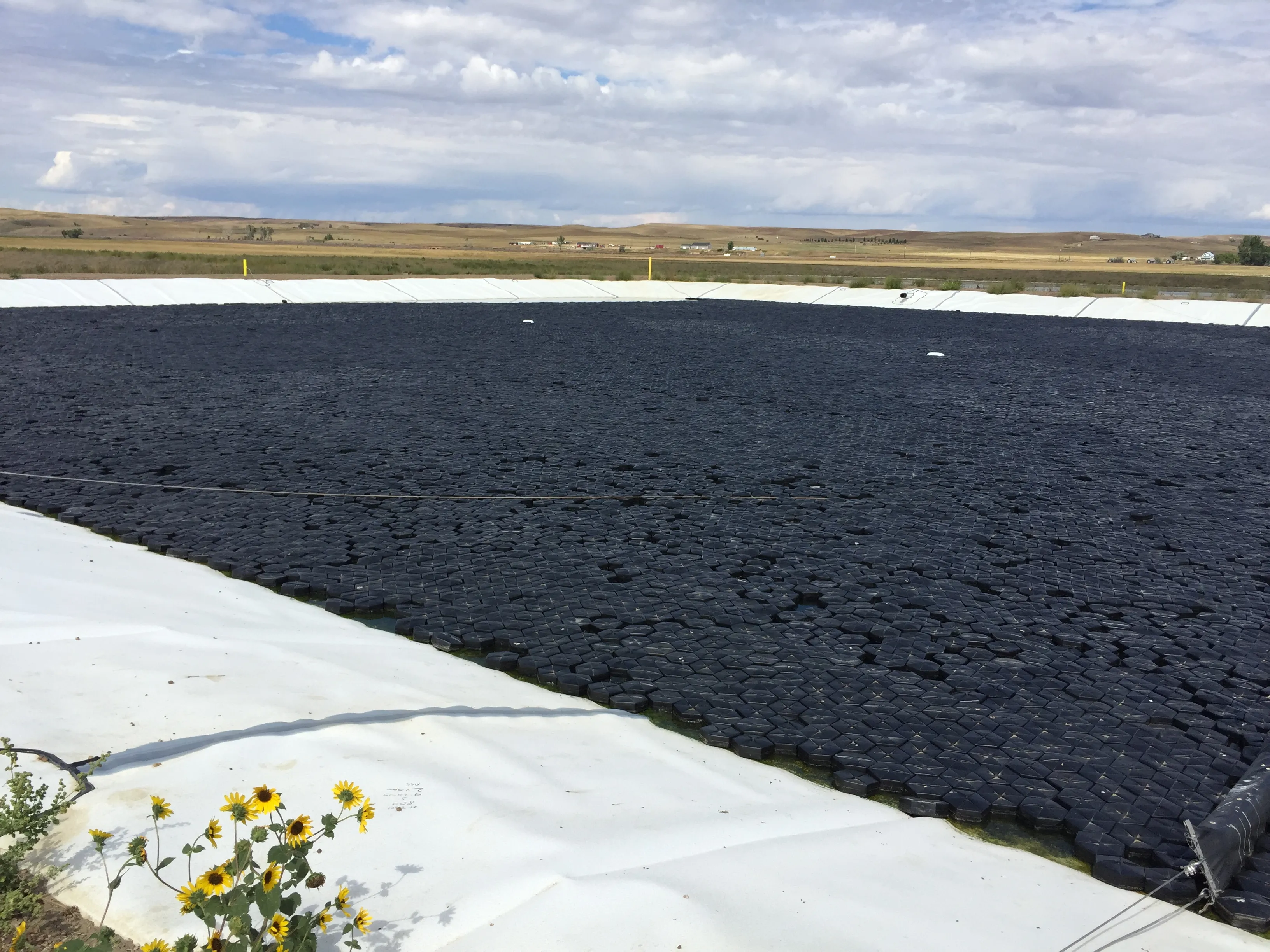 An industrial pond covered edge-to-edge with black interlocking hexagonal tiles under a cloudy sky