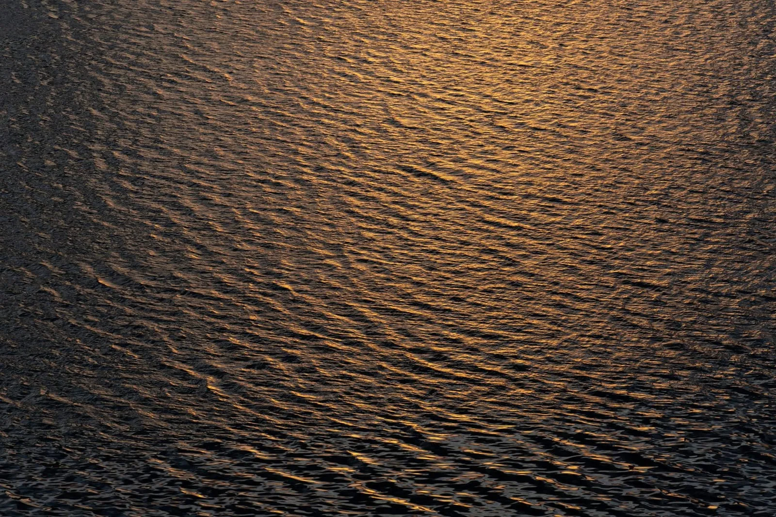 A mesmerizing view of golden sunlight reflecting on the rippling water surface at sunset. Perfect for serene themes.