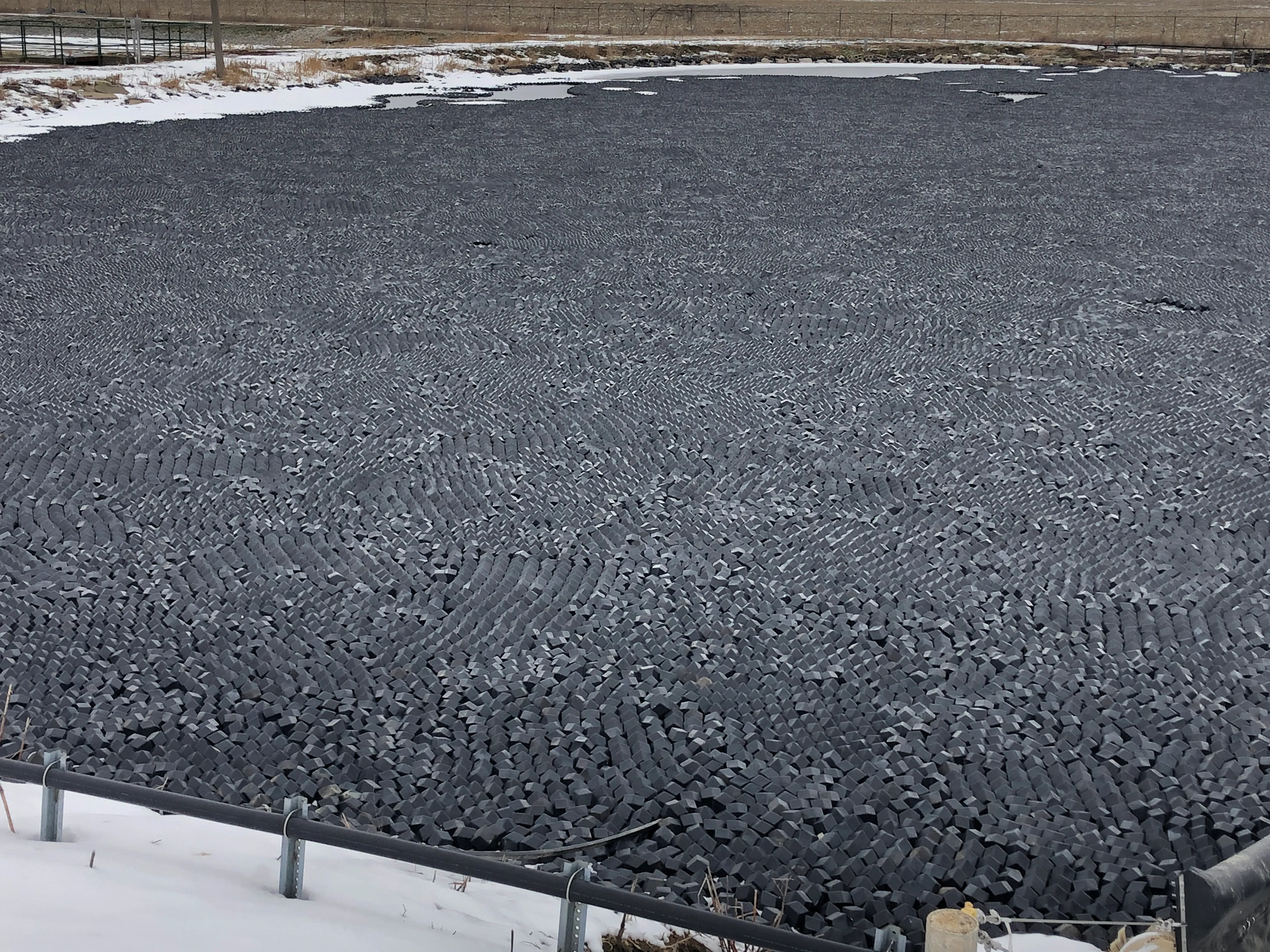A pond covered with dark floating panels dusted with snow, surrounded by a snowy field in winter